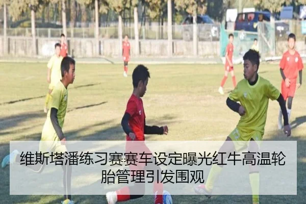 维斯塔潘练习赛赛车设定曝光红牛高温轮胎管理引发围观